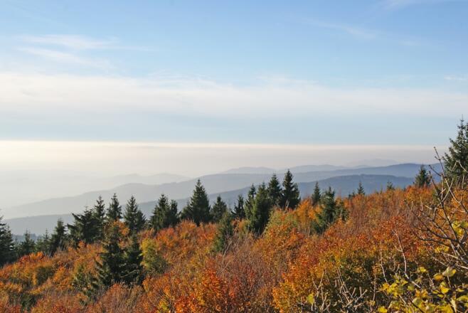 Aussicht vom Hirschenstein Richtung Nord/West