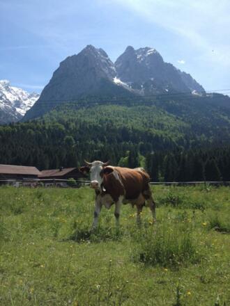 das grüne Glück unter den Füßen