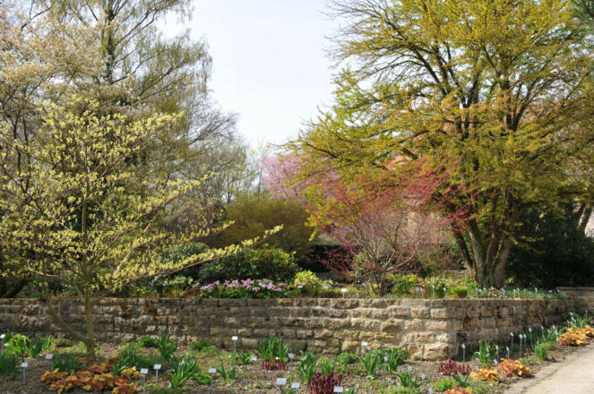 Baumbestand im Oberdieckgarten - Weihenstephaner Gärten in Freising