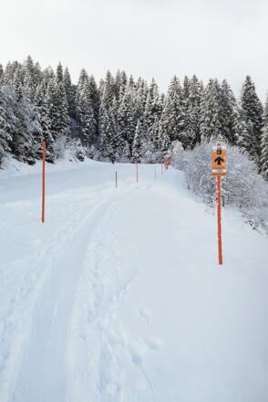 Markierte Skitouren Route am Rand der Skipiste