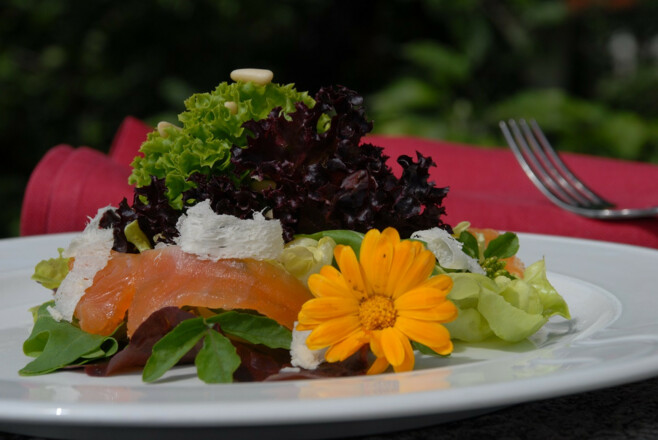 Salatblume vom Hörger Biohotel Tafernwirtschaft
