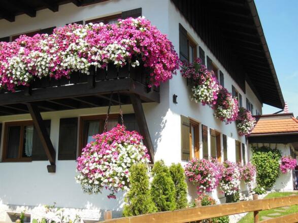 Gepflegtes Ambiente