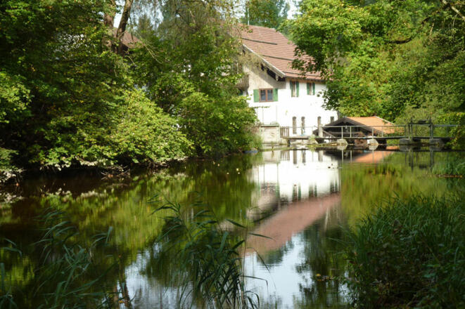 Die Vogelmühle