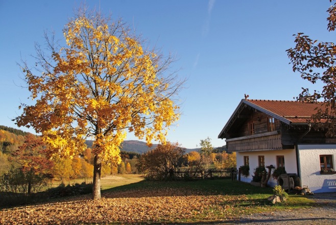 Erlebnishof &quot;Alte Mühle&quot;