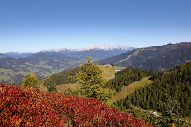 Aussicht vom Sonntagskogel