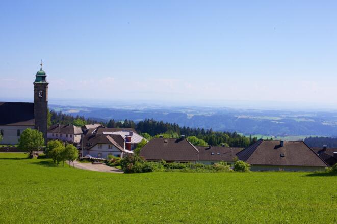 Ausblick