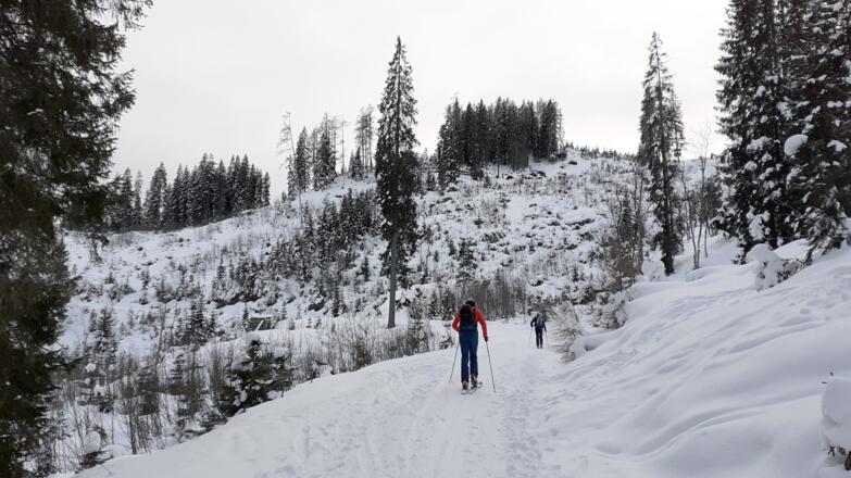 Forststraße  um 1350m rechts verlassen