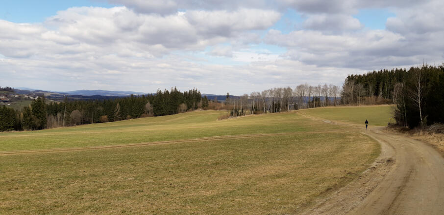 Weg in Richtung Vorwald