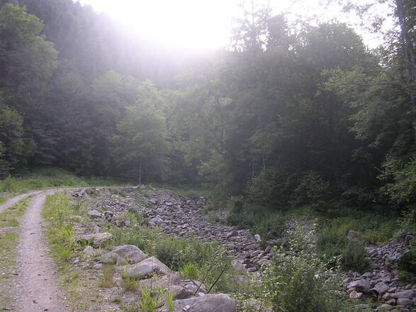 Rannatal
