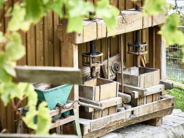 Donautaler Mostkellerei_Obermühl_150924_208©WGD Donau Oberösterreich Tourismus GmbH-Peter Podpera