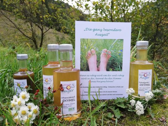 Biohof Auger Waldhausen 1