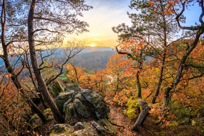 Steiner Felsen