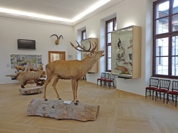 Oö. Jagdmuseum
