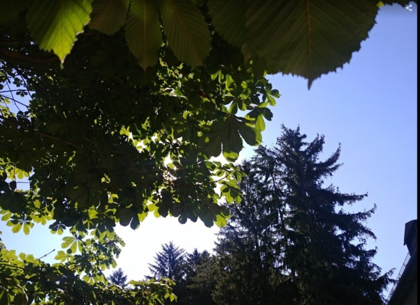 L. Monopteros (Chinesischer Turm)