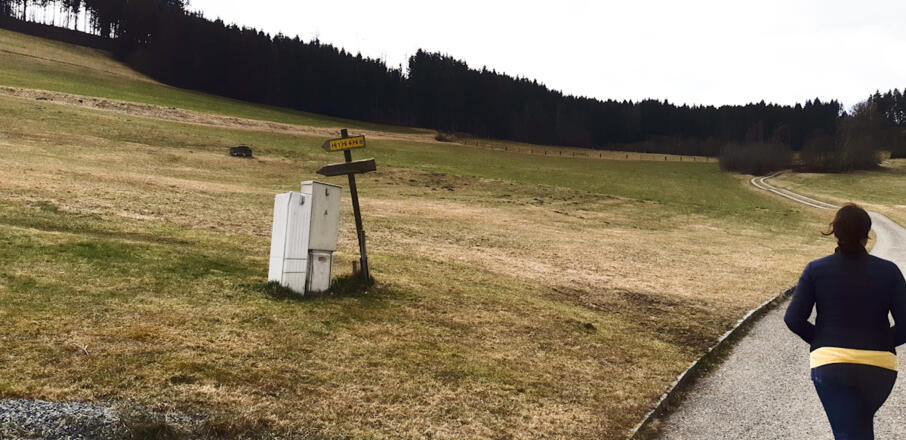 Abzweigung nach links über die Wiese entlang der Grundstücksgrenze