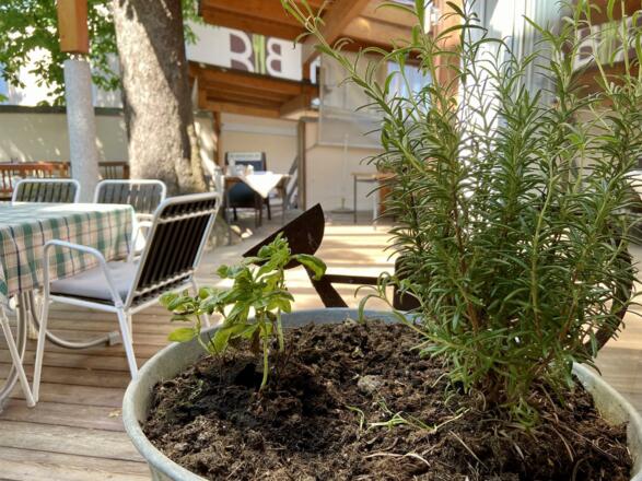Garten_Rosmarin_Idylle