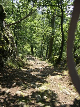 Natura 2000 - Rannatal