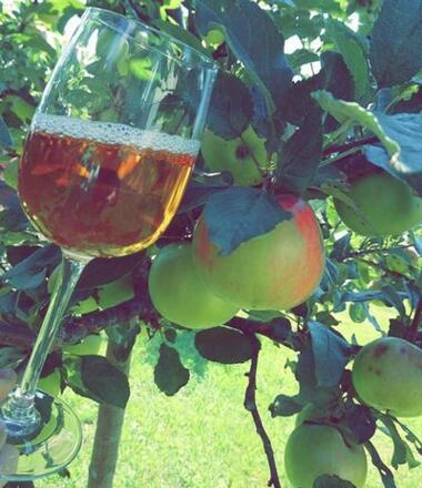 Produkt_(c)Mostkellere_Fischer_Ausschnitt