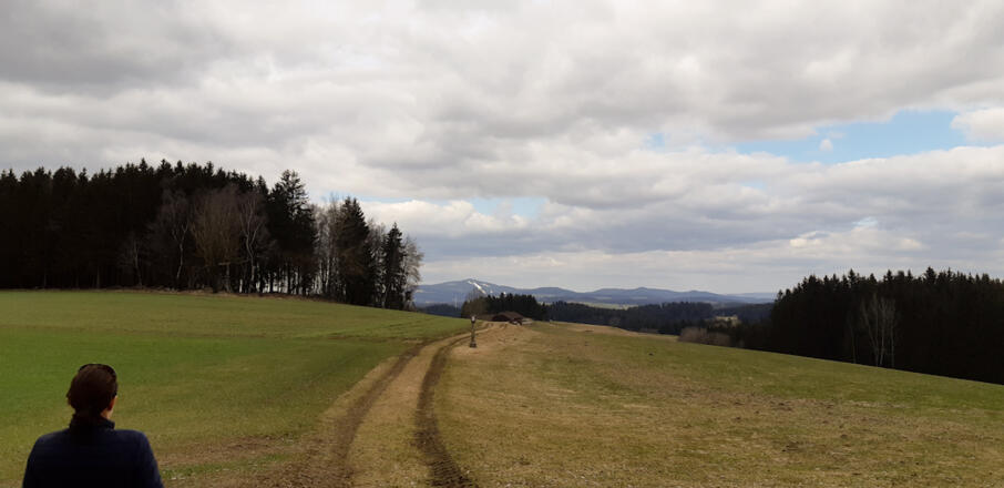 Blick zum Sternstein