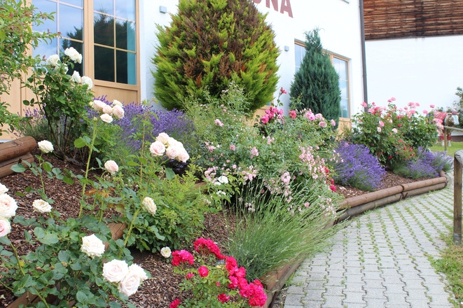 Außenanlage Ferienwohnung Donaublick