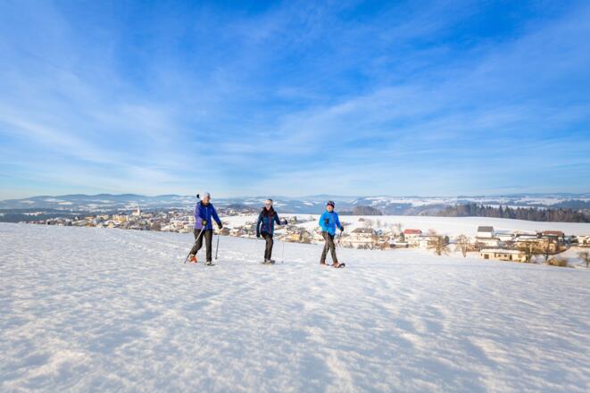 Schneeschuhwandern in Haibach