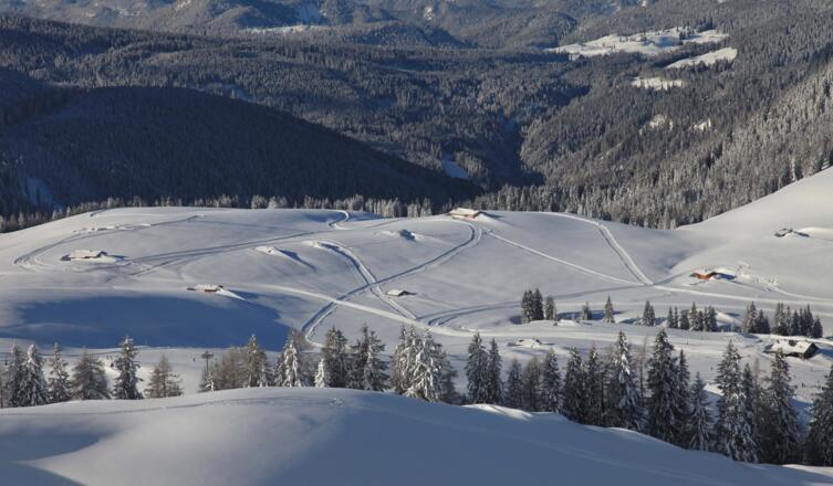 Blick auf die Höhenloipe der Almenwelt Lofer