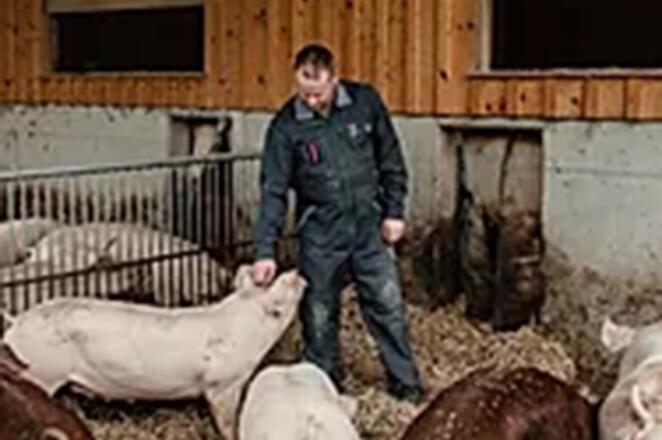 AZ gross Burgschattenhof 04