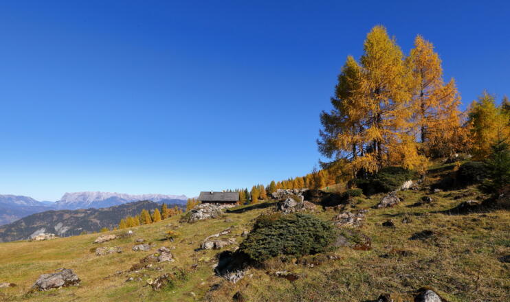 Saukaralm, 1.850 m