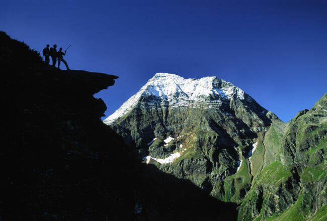 Blick zum Hochgolling im Steinriesental beim Aufstieg zum Greifenberg