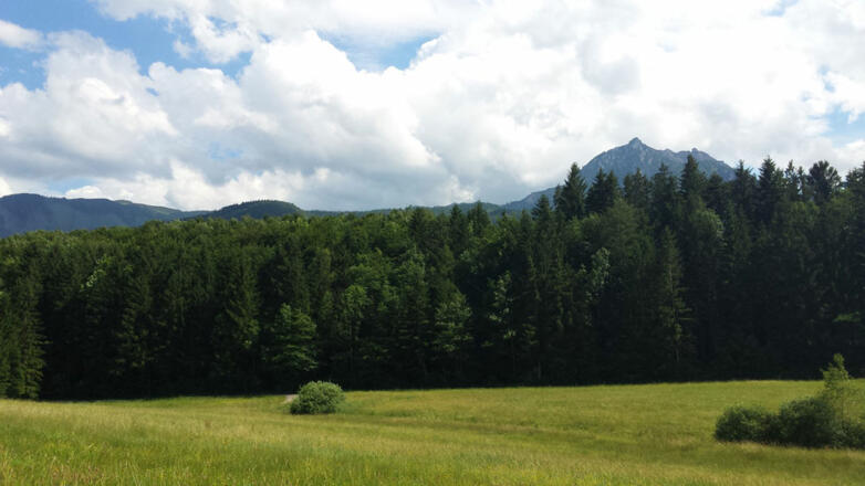 Ausblick auf den Rettenkogel