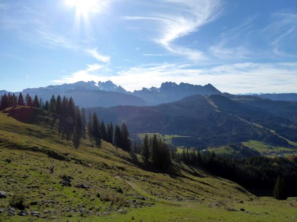 Blick auf Dachstein und Gosaukamm (rechts)