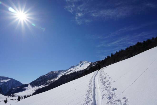 Aufstieg zur Hochwiesalm