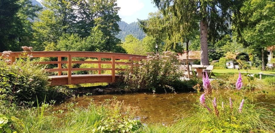 Blühwiese im Kurpark Kreuth