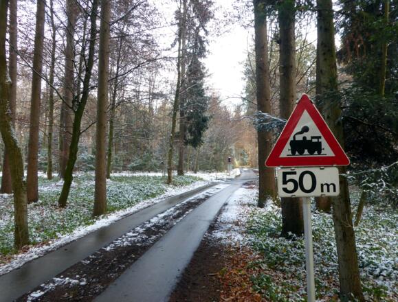 Weihnachtswald bei Loipferding.