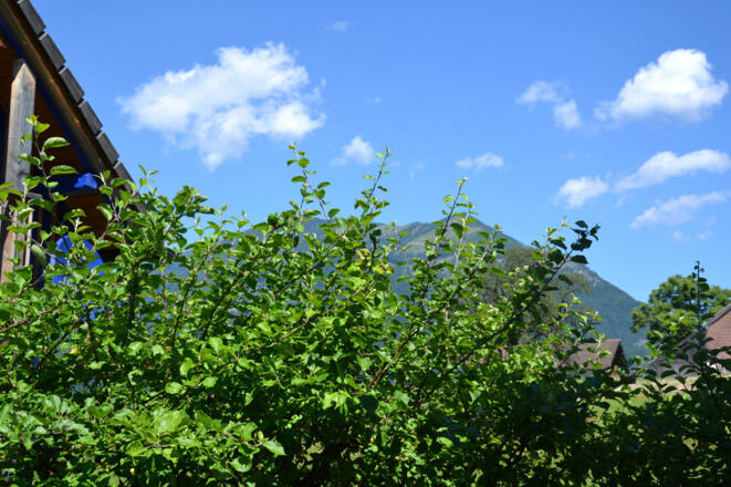 Blick von der Küche