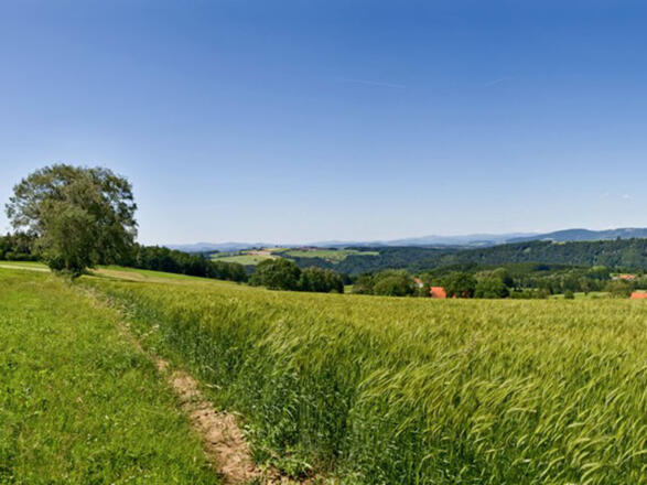 Panoramablick Esternberg