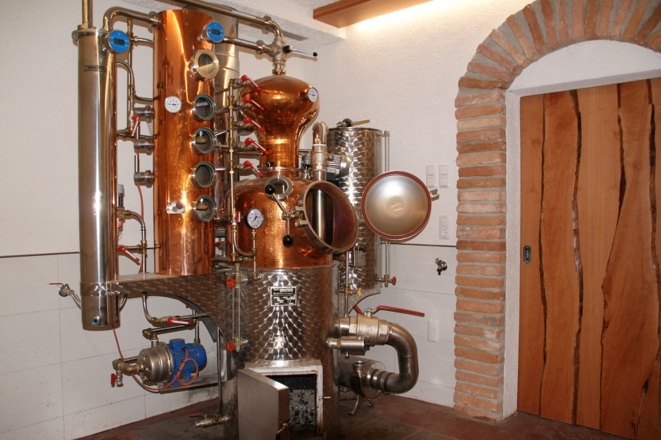 Radlerbauernhof Moser
