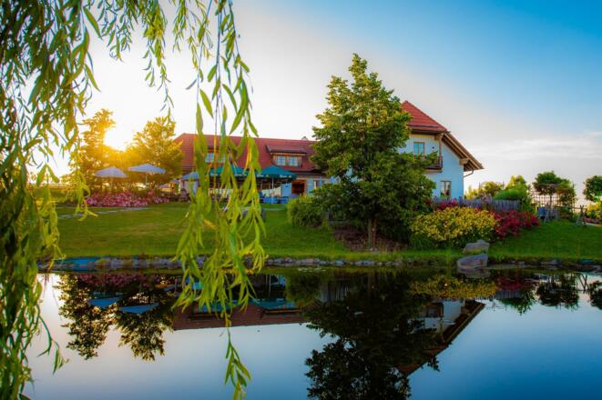 Blick vom Teich