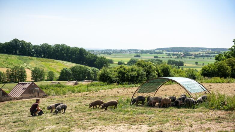 Land Luft Leberfing