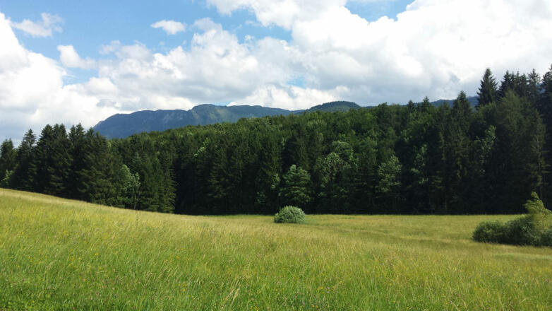 Ausblick zum Katergebirge