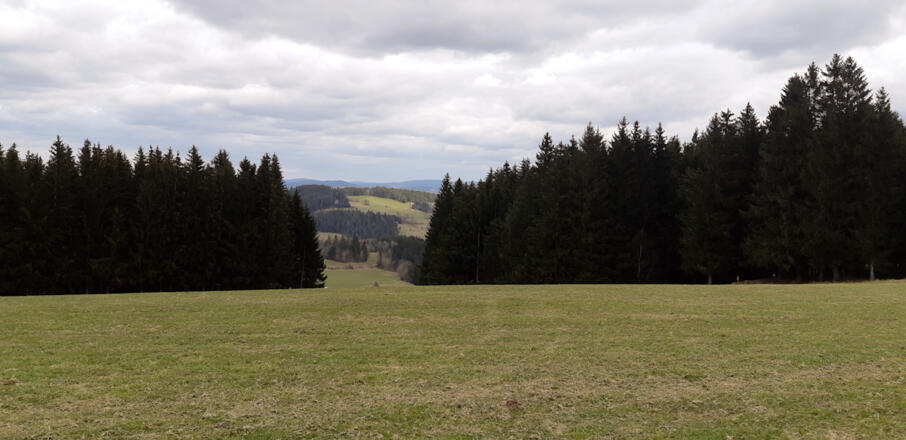 Weitere schöne Aussicht die zum Genießen einlädt