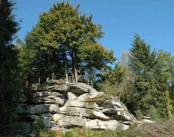 Ameisberg _5774a
