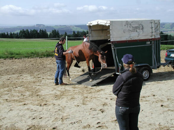 HorseManShip Kurs