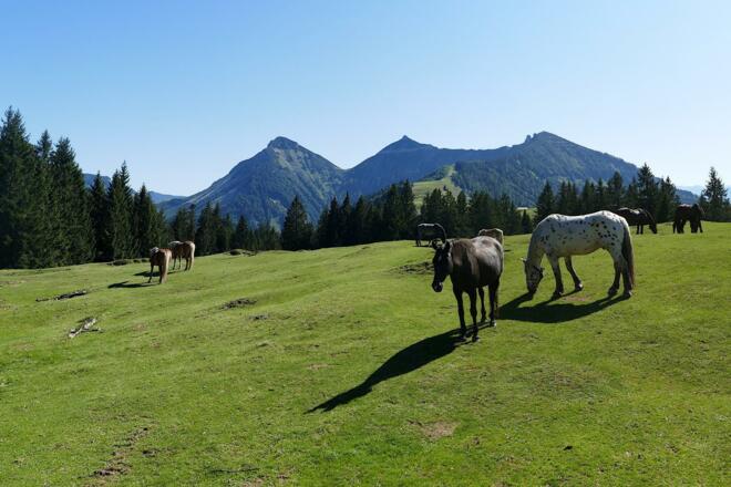 Die 3 Spitzen von Hintersee