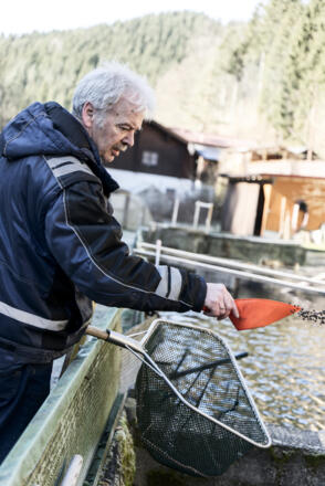 Michael Fische füttern