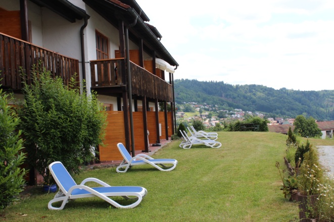 Liegewiese Ferienwohnung Donaublick