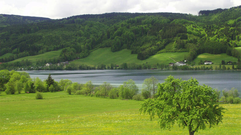 Symbolfoto