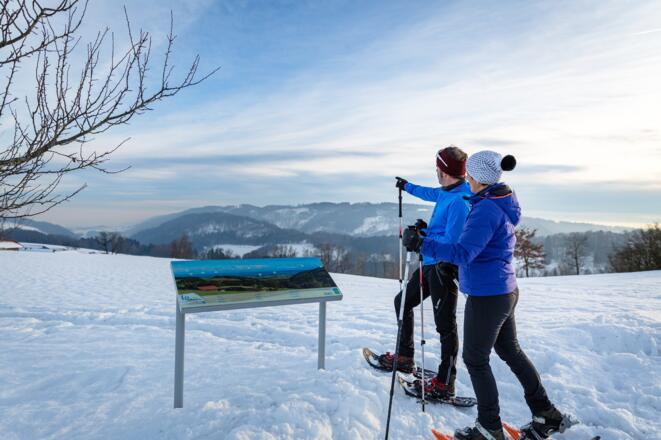 Schneeschuhwandern in Haibach