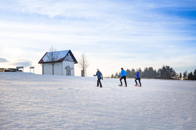 Schneeschuhwandern in Haibach
