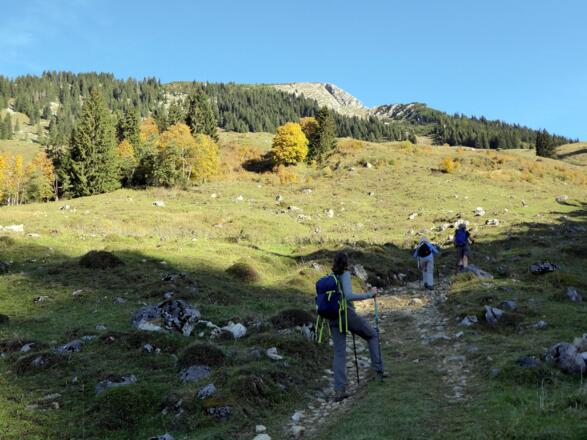 Weg zur Traunwandalm